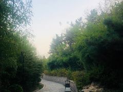 -竹子庵公园