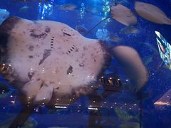 -成都浩海立方海洋公园