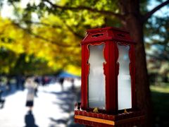 -天坛公园