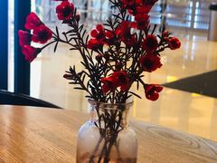 -gaga(深圳南山益田假日广场店)