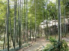-木子山庄·安徽省老字号·中国炖锅宴