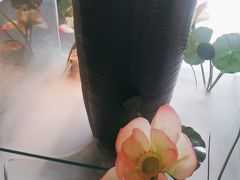 -鸽子侯·家宴·平价海鲜(市图书馆店)