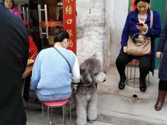 -吕家米皮