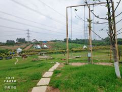 -紫颐香薰山谷景区