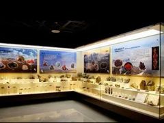 -甘肃地质博物馆