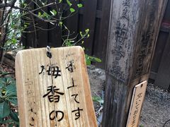 -滨千鸟之汤 海舟