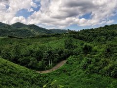 -田心森林公园