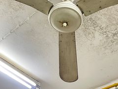-小桃园餐厅