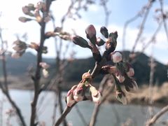 -金堂县云顶石城风景区