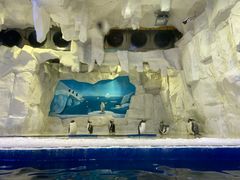 -华夏文旅海洋公园