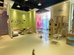 -藏猫猫咖啡主题馆(中央大道店)