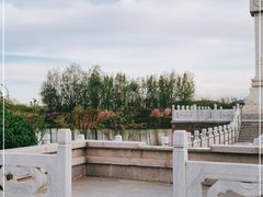 -马家湾湿地公园