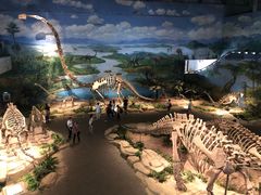 -自贡恐龙博物馆