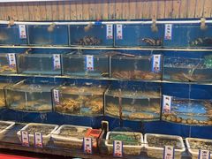 -高佳庄·舟山海鲜(海景旗舰店)