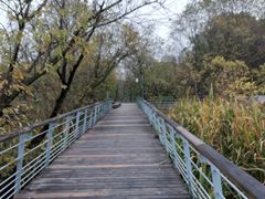 -西湖风景区-江洋畈生态公园