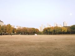 -泰丰公园