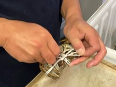 -黄记大闸蟹专卖店·活蟹·醉蟹