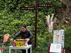 -重庆彩云湖湿地公园