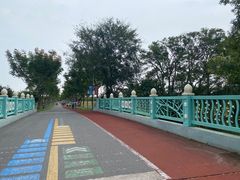 -上海长兴岛郊野公园