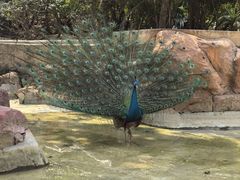 -点都德(广州白云山景区南门店)