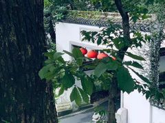 -东航云逸酒店(九溪烟树店)