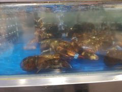 -盒马鲜生(莱蒙都会店)