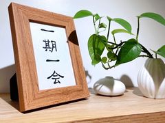 -团子君寿司·茶