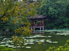 -西湖公园(鼓楼区)