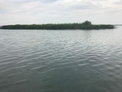 -太湖湖滨国家湿地公园-停车场