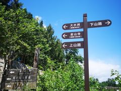 -阳台山自然风景区