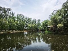 -滕州微山湖红荷湿地景区