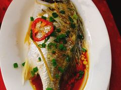 -蛇口康乐快餐鱼仔档(翠苑小区店)