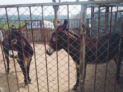 -河北村民俗体验园
