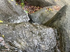-晓港公园