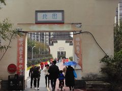 -大渡口区义渡公园