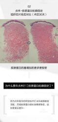 -贞禾医美·连锁