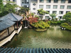 -苏苑饭店-中餐厅(长桥地区店)