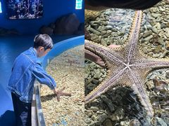 -重庆欢乐海底世界