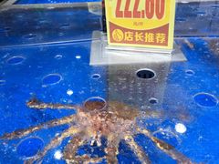 -嘉荣超市(清远万达店)