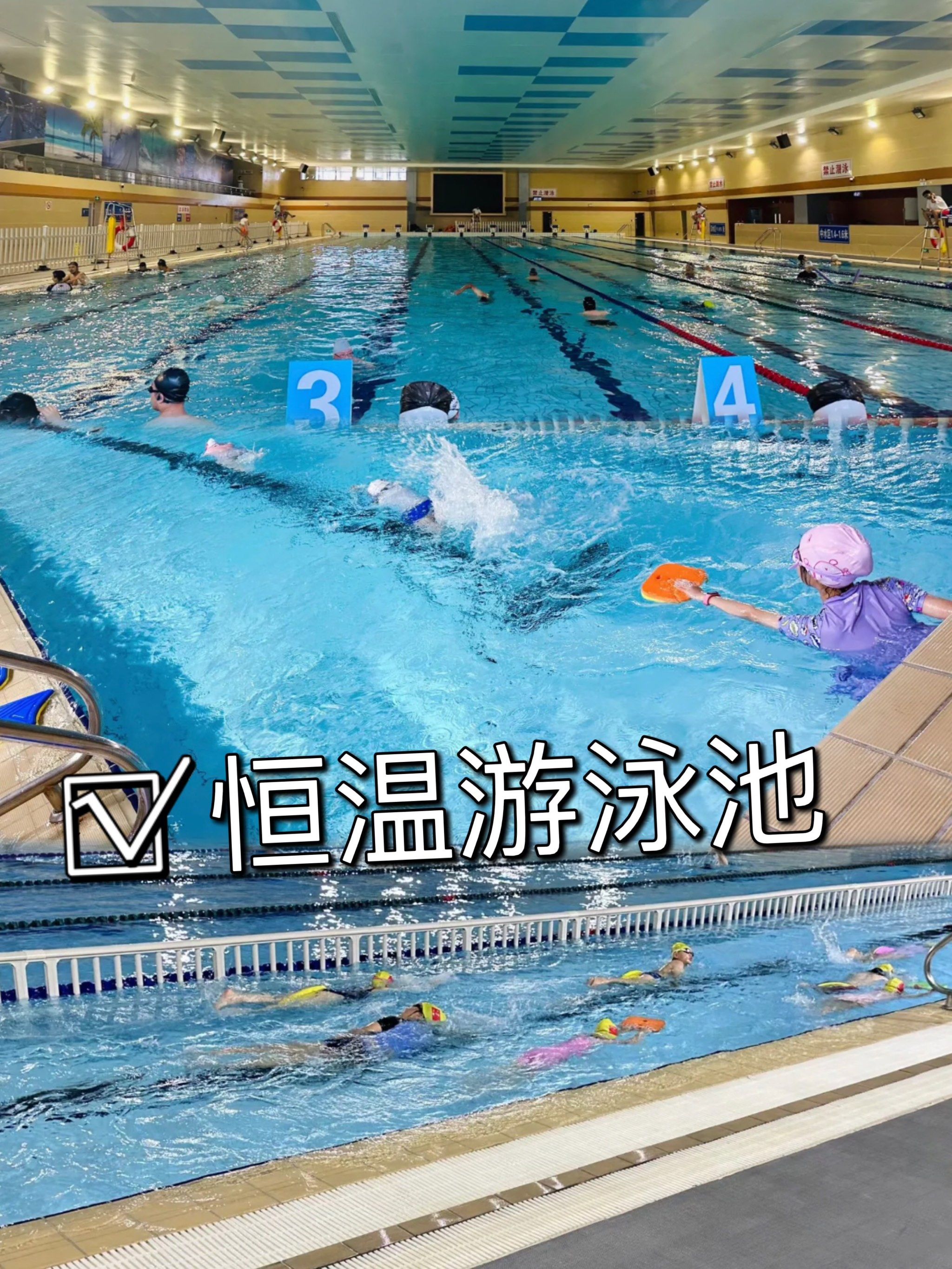 标准50米恒温游泳池73游泳好去处!