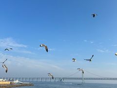 -星海广场