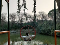 -常州淹城野生动物世界