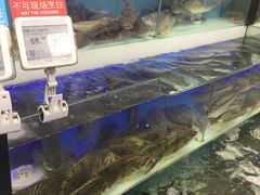 -盒马鲜生(宝地店)
