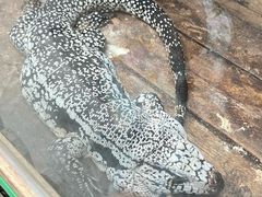 -鄂尔多斯野生动物园