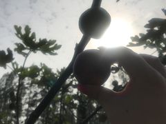 -武汉世外桃源农庄