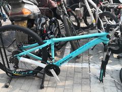 -道路口单车爱瓦士dahon大行