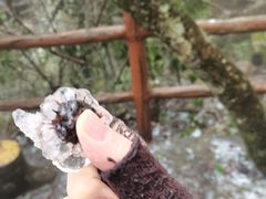 -金子山原生态旅游风景区