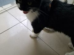 -艾加柒克蛋糕茶歇甜品台(春熙路店)