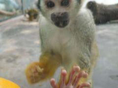 景点-西安秦岭野生动物园