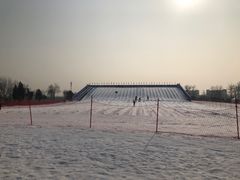 -绿野森林乐园冰雪季